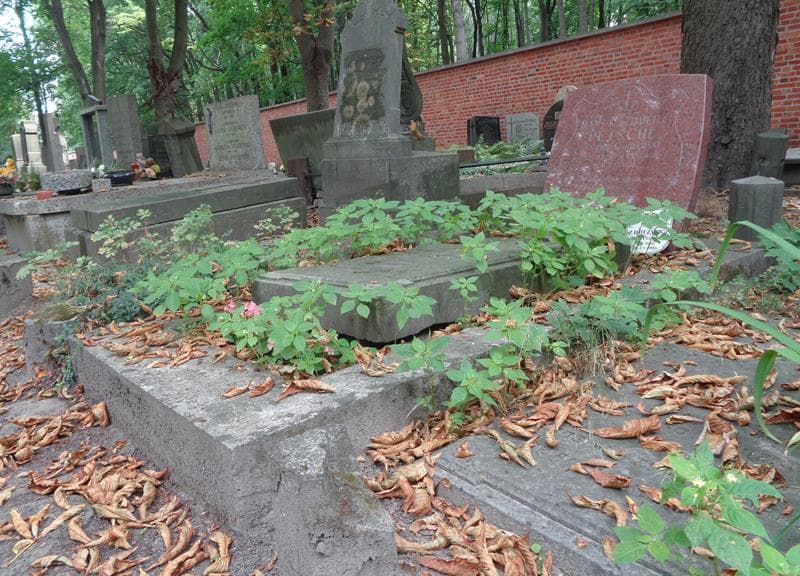 Zdjęcie grobu: Stanisław Petschl