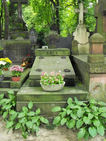 Zdjęcie grobu: Janina Brzezińska