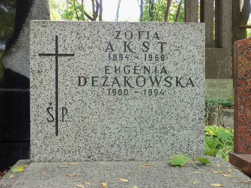 Zdjęcie grobu Eugenia Deżakowska (2)