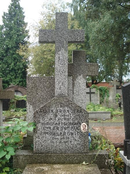 Zdjęcie grobu Albin Fronczak (2)