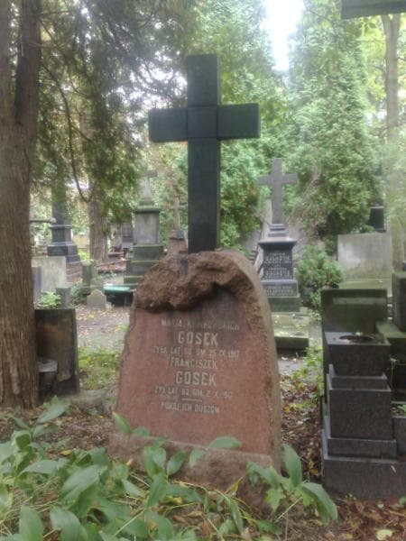 Zdjęcie grobu Franciszek Gosek (1)