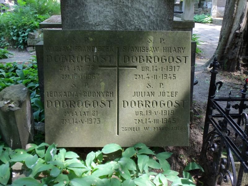 Zdjęcie grobu Wacław Franciszek Dobrogost (2)