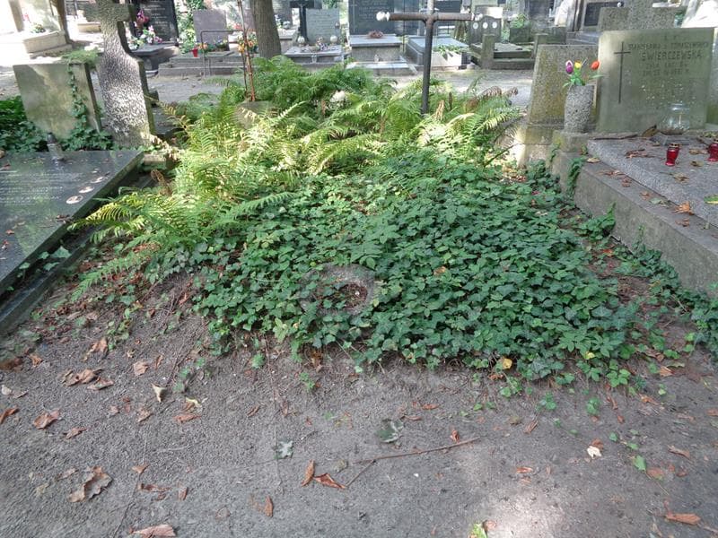 Zdjęcie grobu: Pole Grobowe