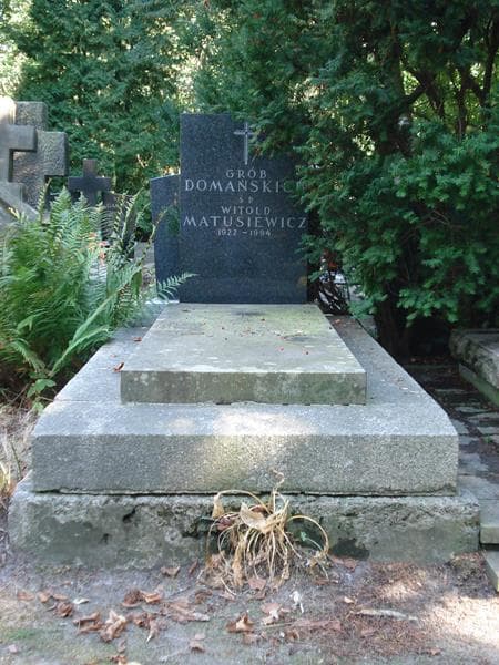 Zdjęcie grobu: Bronisław Domański