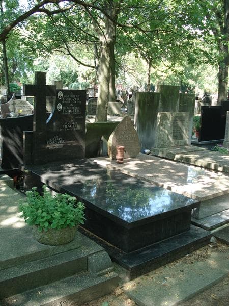 Zdjęcie grobu Januszek Frączek (1)