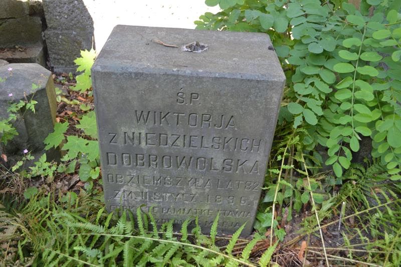 Zdjęcie grobu Wiktorja Dobrowolska (2)