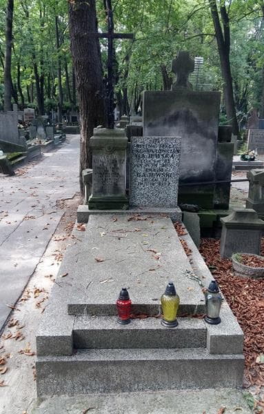 Zdjęcie grobu Teofil Klimontowicz (1)