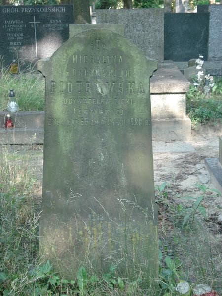 Zdjęcie grobu Michalina Piotrowska (1)