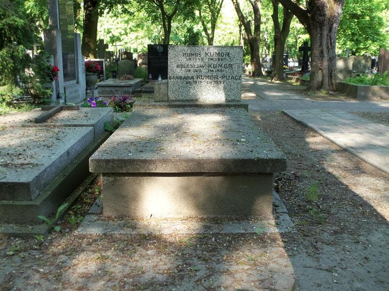 Zdjęcie grobu: Barbara Kumor - Puacz