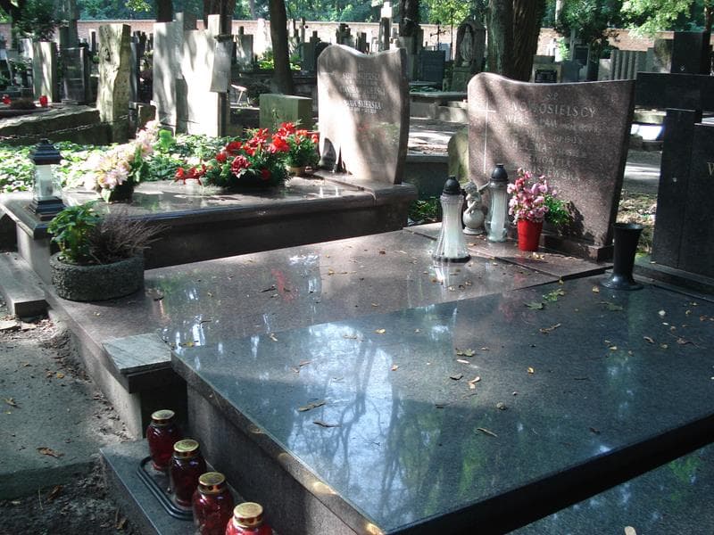 Zdjęcie grobu: Władysław Nowosielski