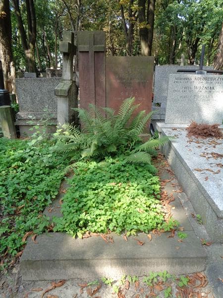 Zdjęcie grobu: Jan Rost