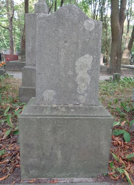 Zdjęcie grobu Dąbrowscy (2)