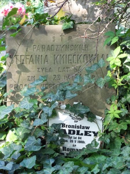 Zdjęcie grobu Stefania Kmiećkowiak (2)
