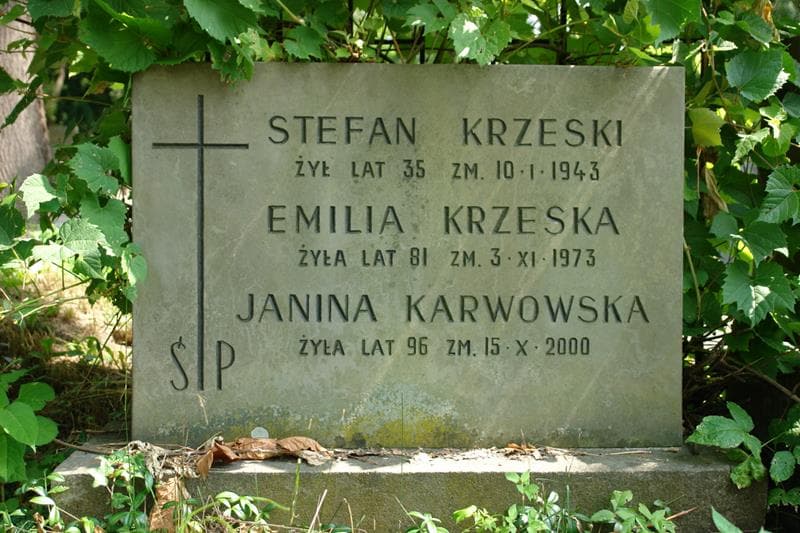 Zdjęcie grobu Emilia Krzeska (2)
