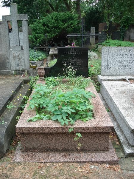 Zdjęcie grobu: Anna Bednarska-Zołnierkiewicz