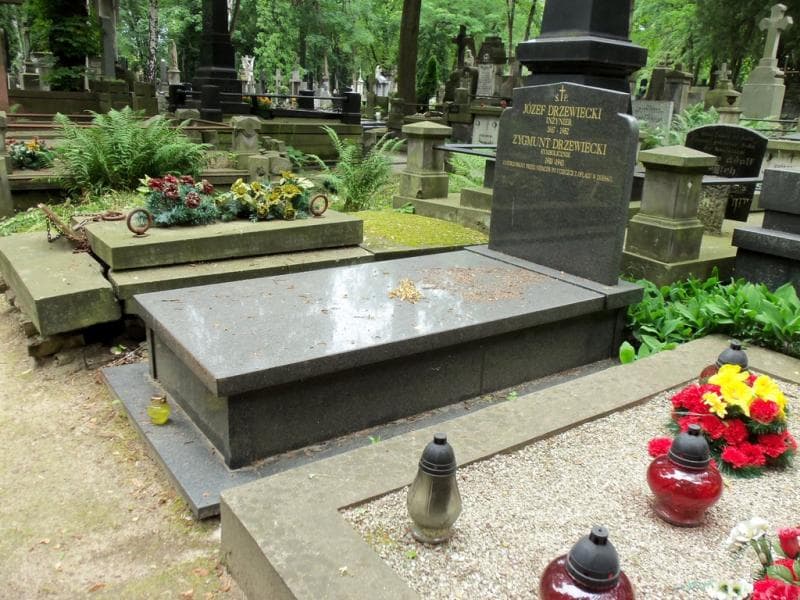 Zdjęcie grobu Zygmunt Drzewiecki (1)