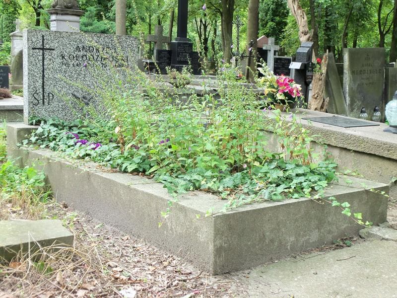 Zdjęcie grobu Andrzej Kołodziejski (1)