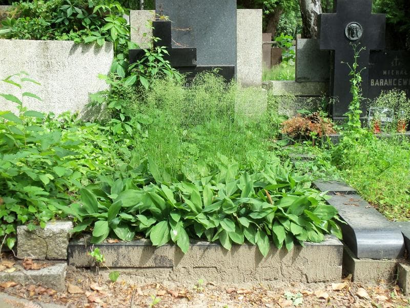 Zdjęcie grobu: Witold Sławiński