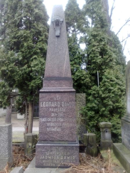 Zdjęcie grobu Jadwiga Dawid (1)
