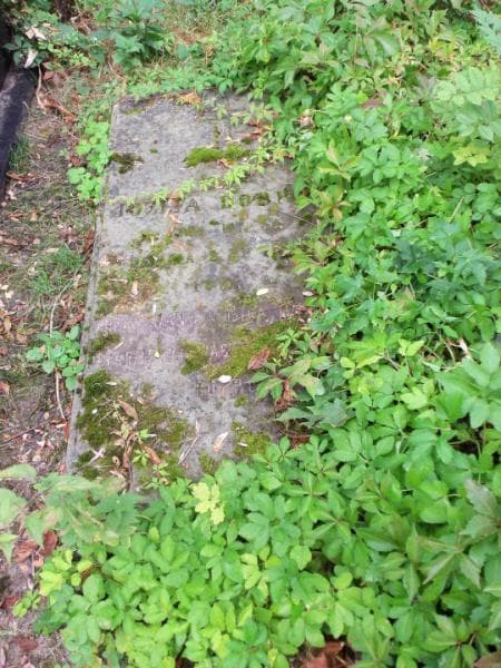 Zdjęcie grobu Józefa Dobrska (1)