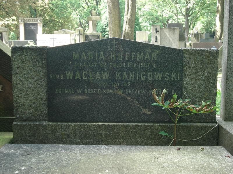Zdjęcie grobu Maria Hoffman (2)
