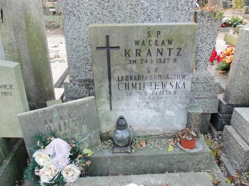 Zdjęcie grobu Leokadia Chmielewska (2)