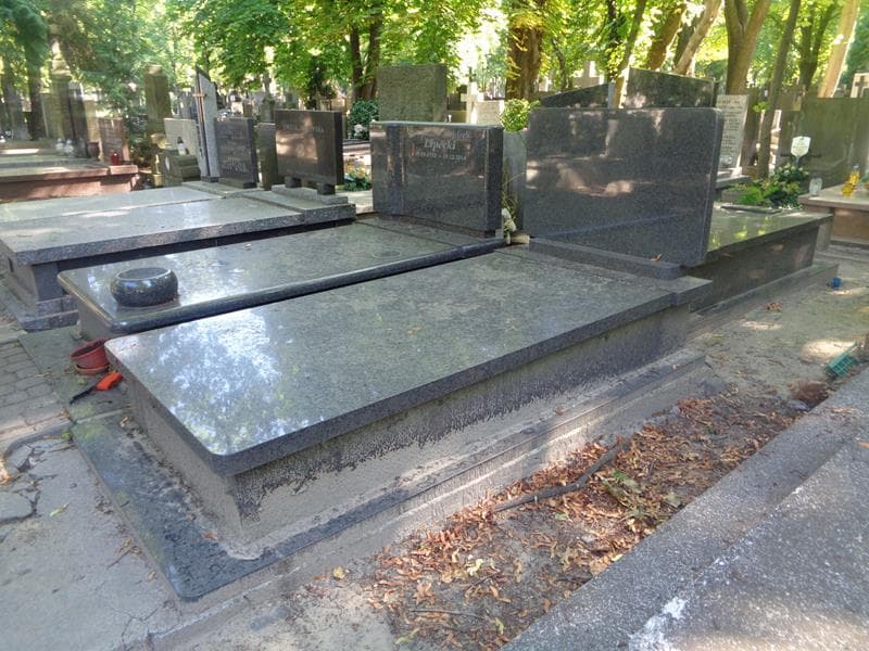 Zdjęcie grobu: Janikowie