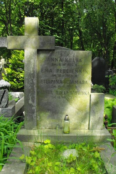Zdjęcie grobu Anna Kulta (2)