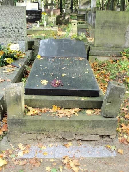 Zdjęcie grobu: Władysław Bravnstein