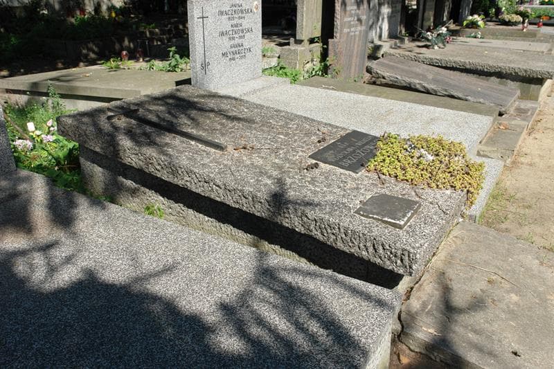 Zdjęcie grobu Władysława Brzozowska (2)