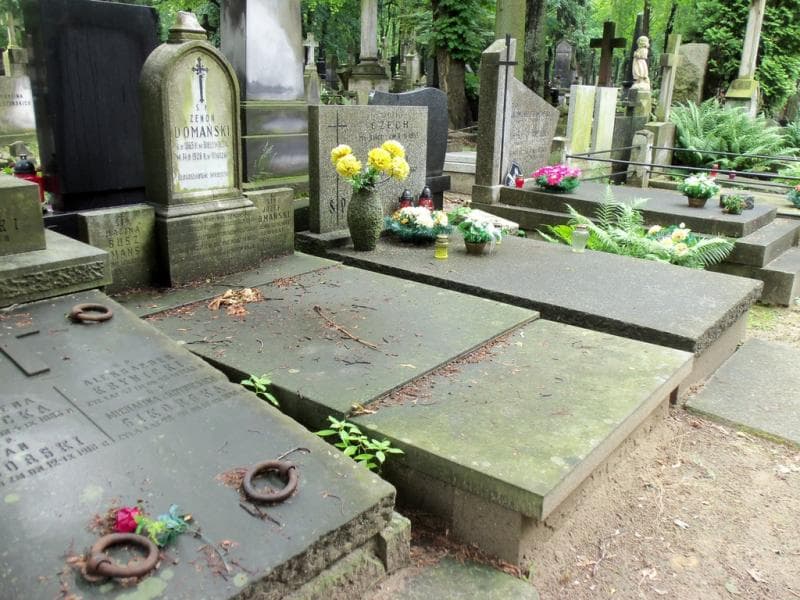 Zdjęcie grobu Milunia Domańska (1)