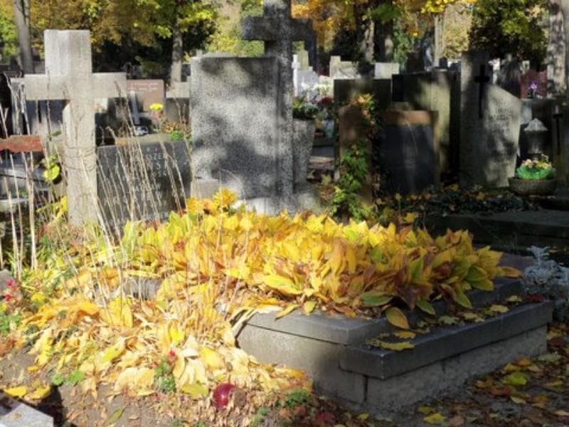 Zdjęcie grobu Franciszek Tymiński (1)