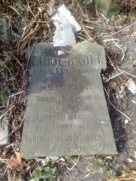 Zdjęcie grobu Karol Knoll (2)