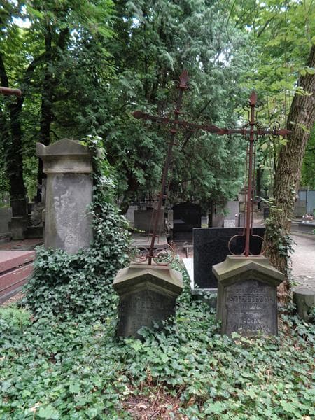 Zdjęcie grobu Władysław Danielewicz (1)