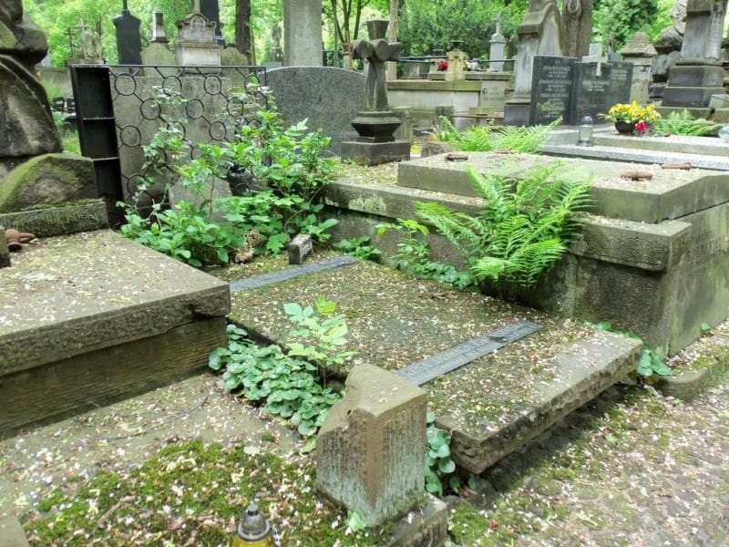 Zdjęcie grobu Teresa Jadwiga Okrasińska (1)