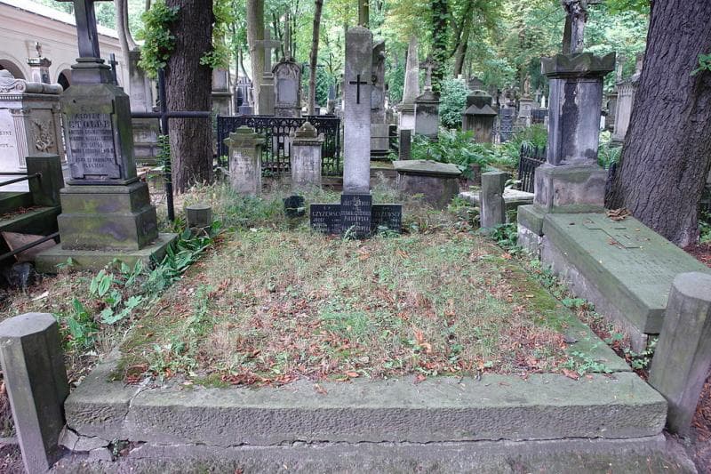 Zdjęcie grobu Eleonora Czyżewska (1)