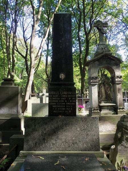 Zdjęcie grobu Andrzej Darowski (2)