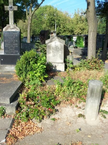 Zdjęcie grobu: Stanisław Kunicki