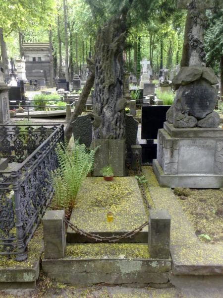 Zdjęcie grobu: Helena Trzcińska