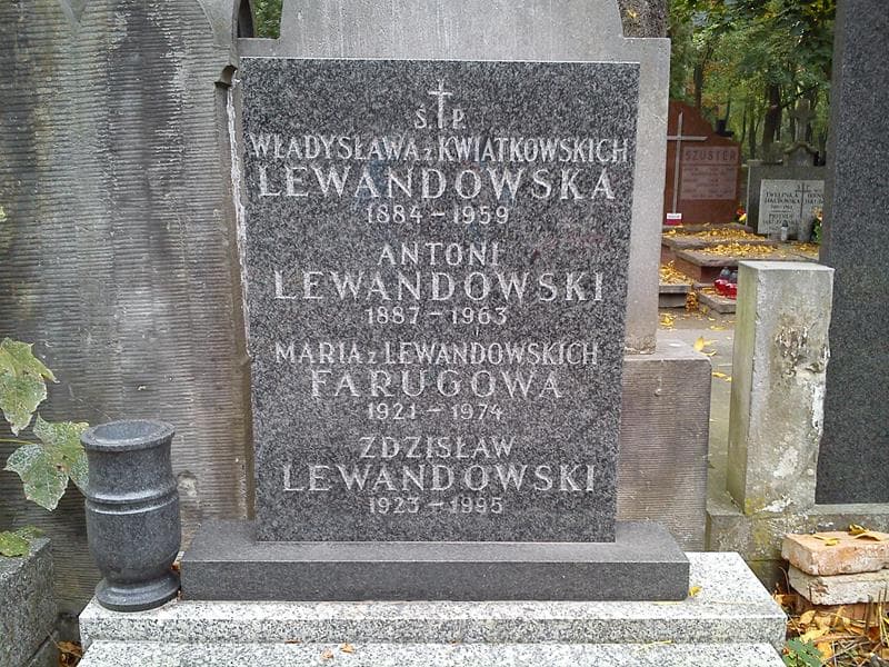 Zdjęcie grobu Antoni Lewandowski (2)