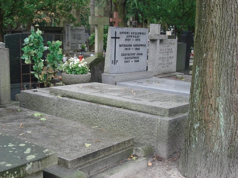 Zdjęcie grobu Zygmuś Piorun (2)