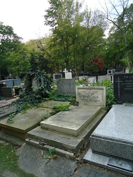 Zdjęcie grobu Dorotka Lubert (1)