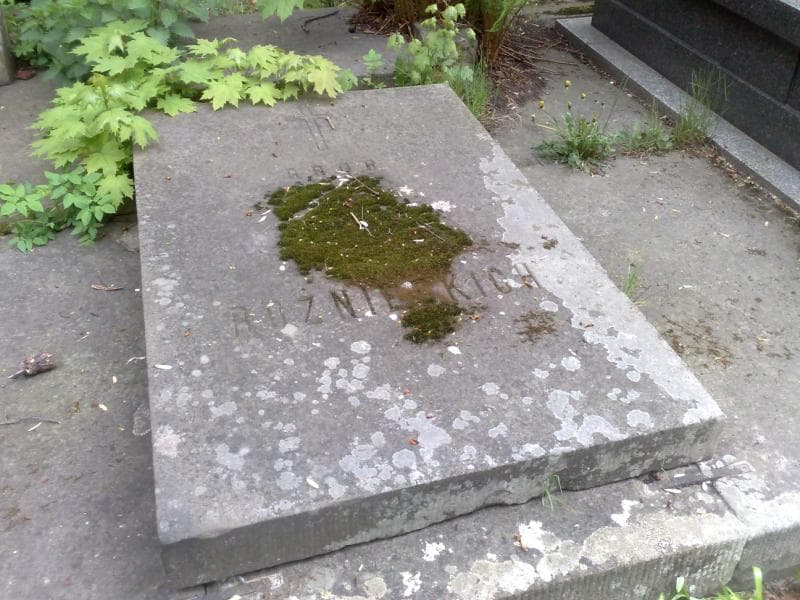 Zdjęcie grobu Rożnieccy (1)