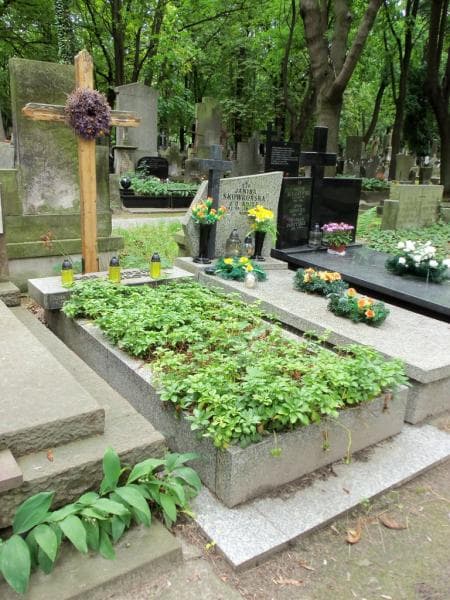 Zdjęcie grobu: Brunon Jerzy Vetter
