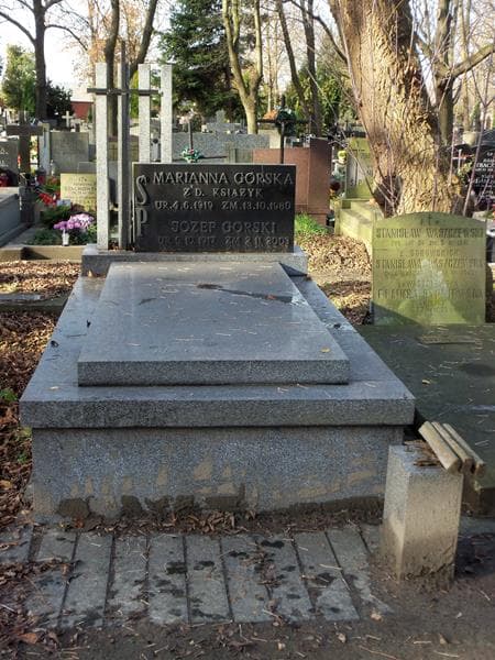 Zdjęcie grobu: Józef Górski