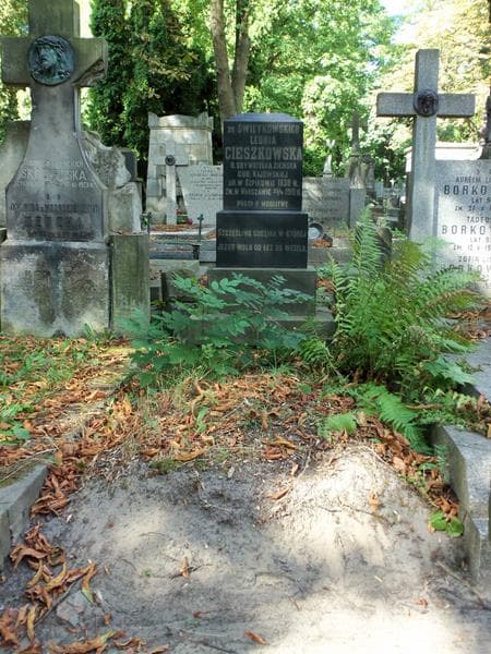 Zdjęcie grobu: Leonia Cieszkowska