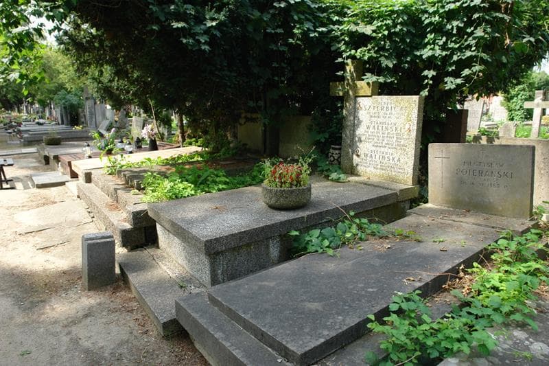 Zdjęcie grobu: Stefania Walińska