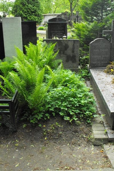 Zdjęcie grobu: Pole Grobowe