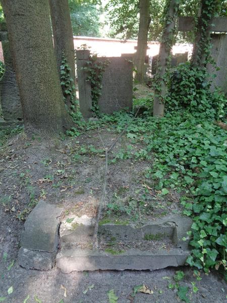Zdjęcie grobu Władysław Wasiak (1)