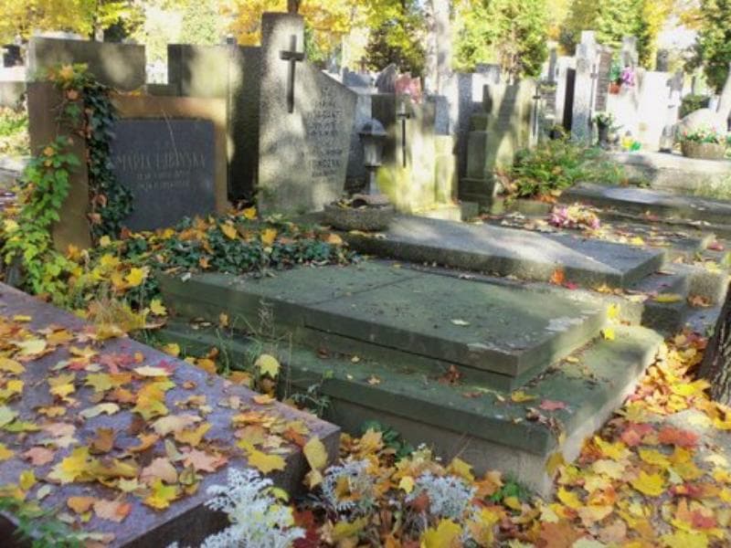 Zdjęcie grobu Maria Lubińska (1)